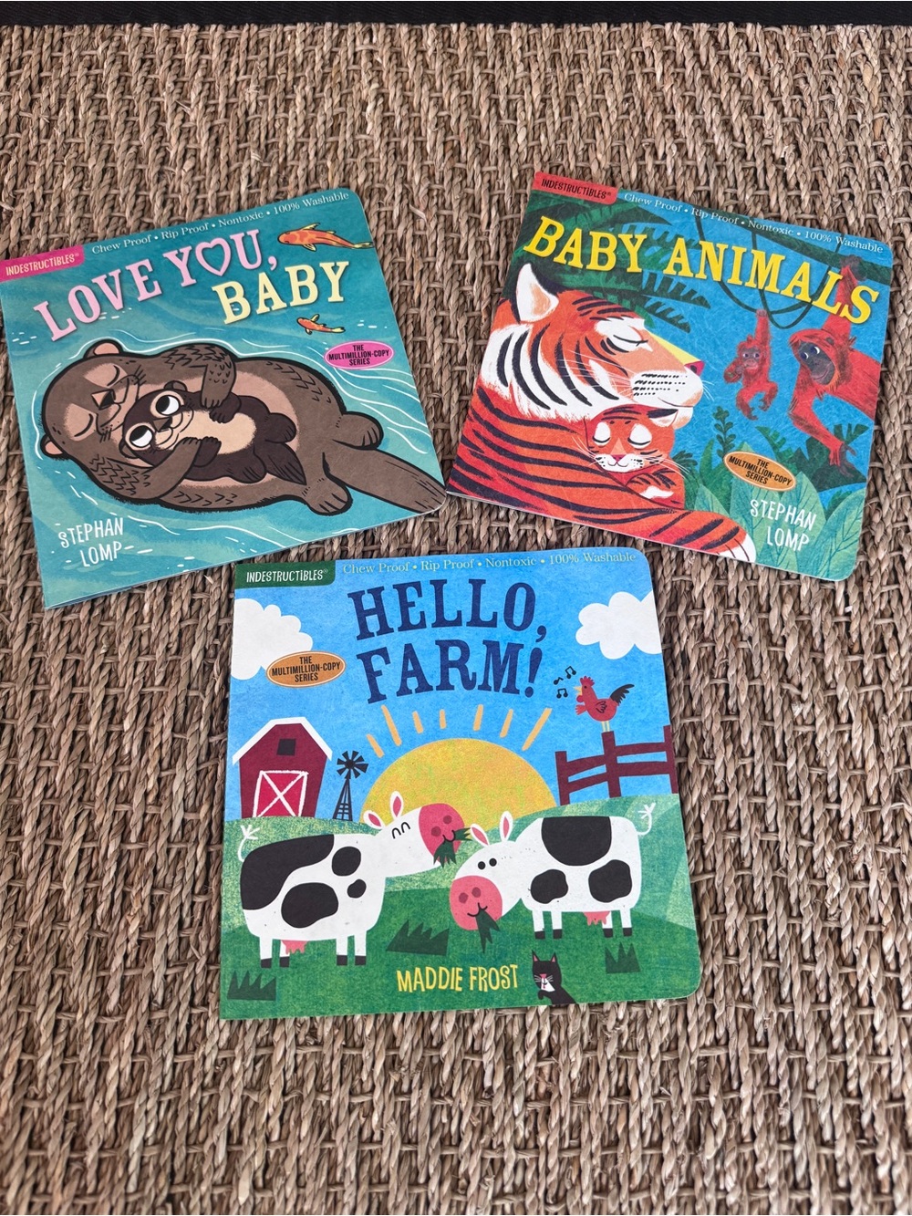 Indestructibles Colorful Baby Books | Three Book Lot